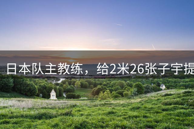 日本队主教练，给2米26张子宇提建议！