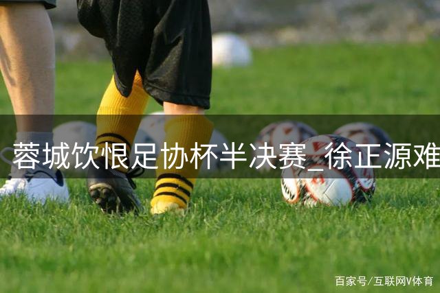 蓉城饮恨足协杯半决赛 徐正源难掩遗憾之情